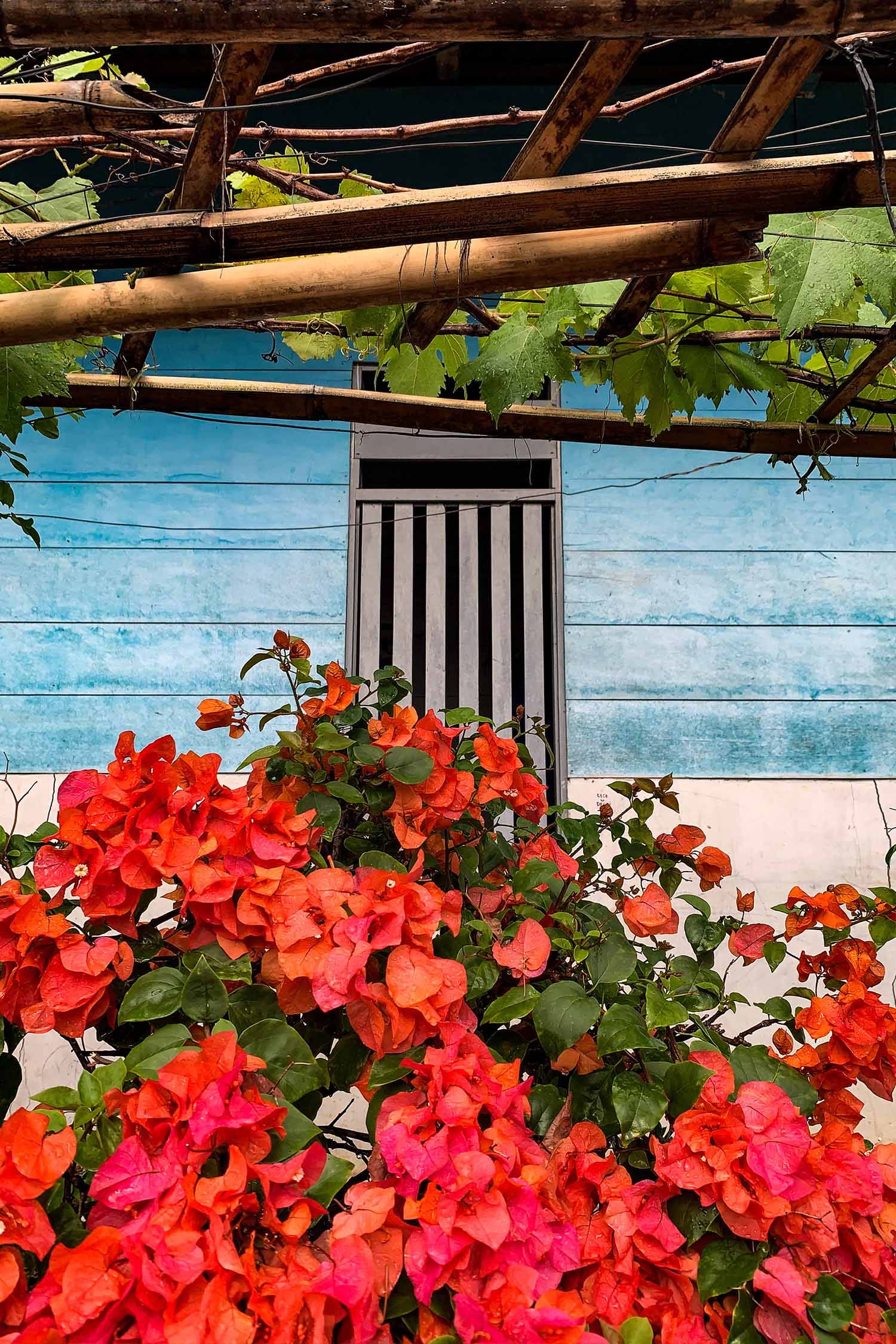 Maison en Sulawesi
