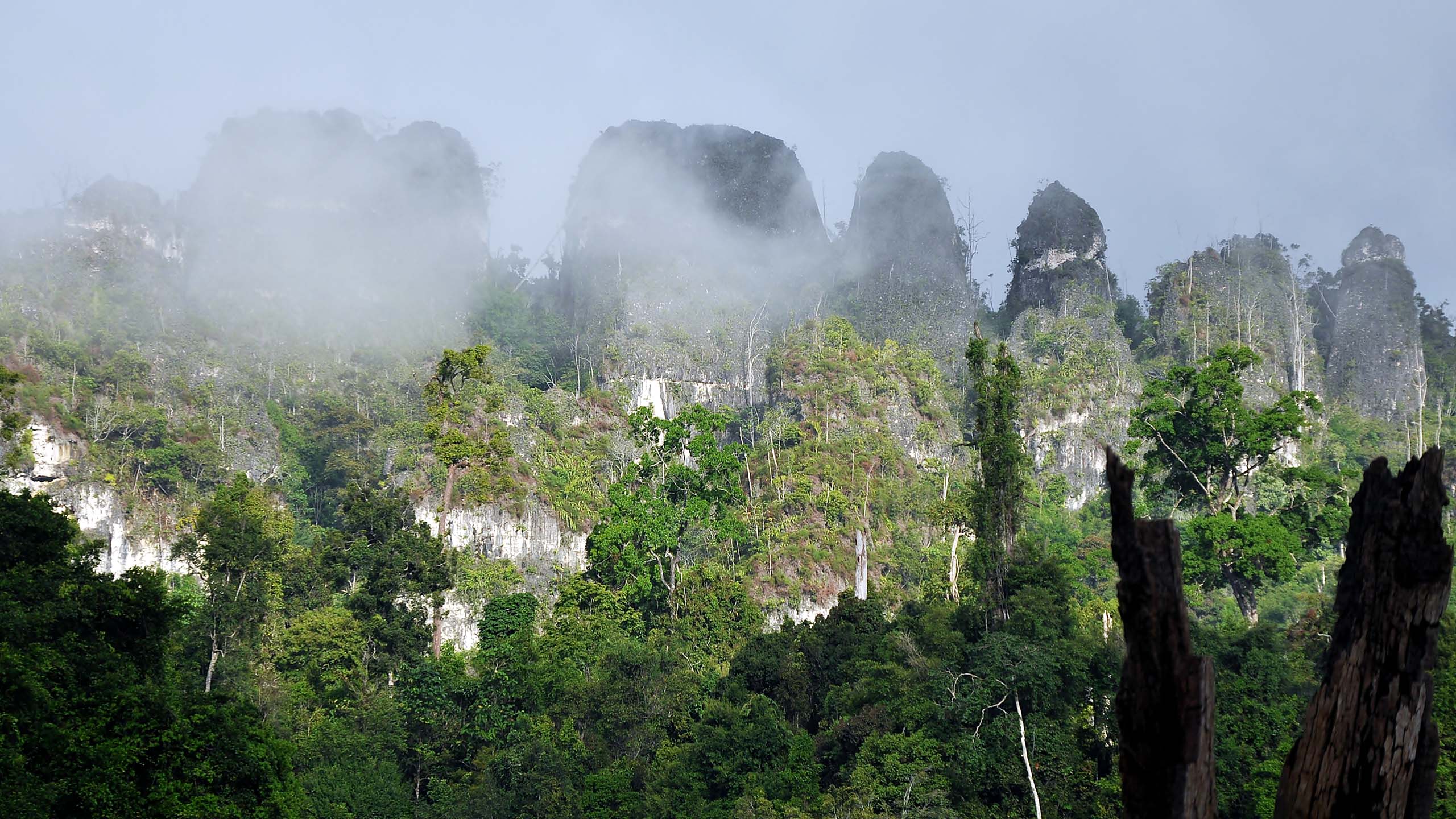 Paysage à Kalimantan