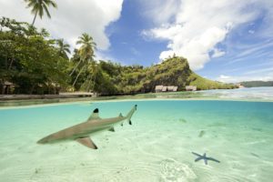 Misool à Raja Ampat