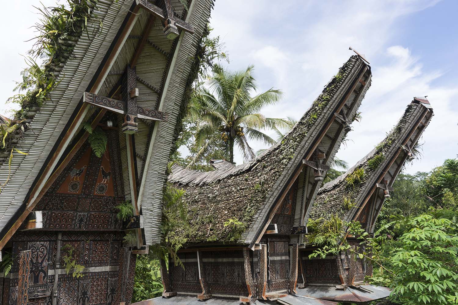 Toraja