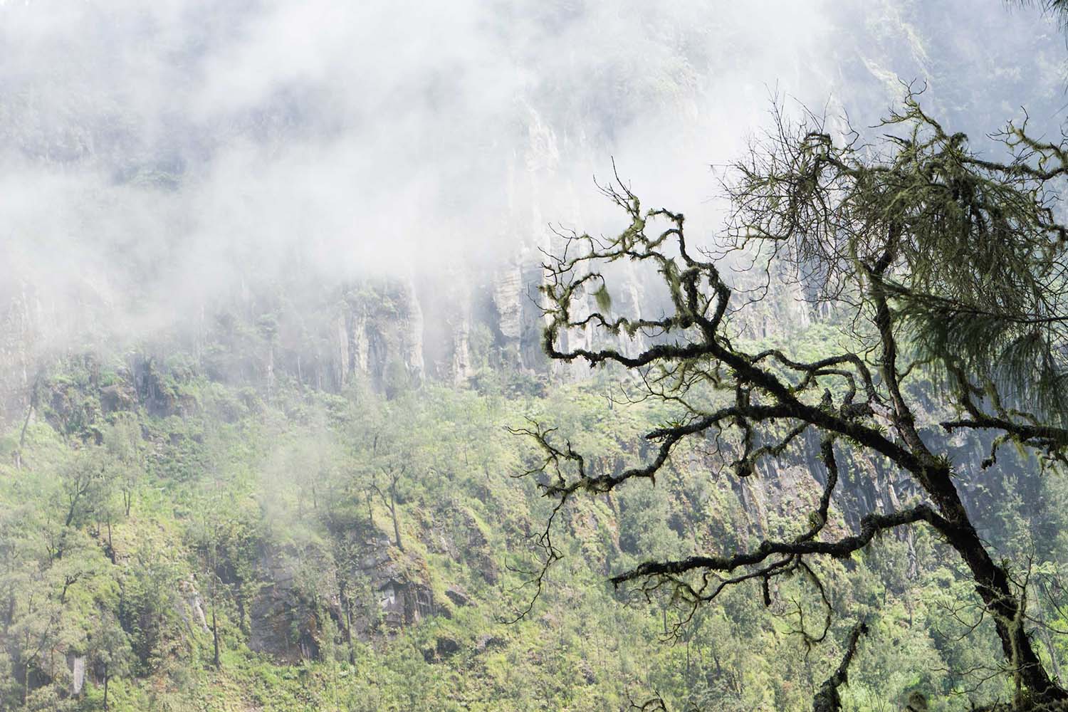 Le lac Ranu Kumbolo — le campement au bord de l'eau