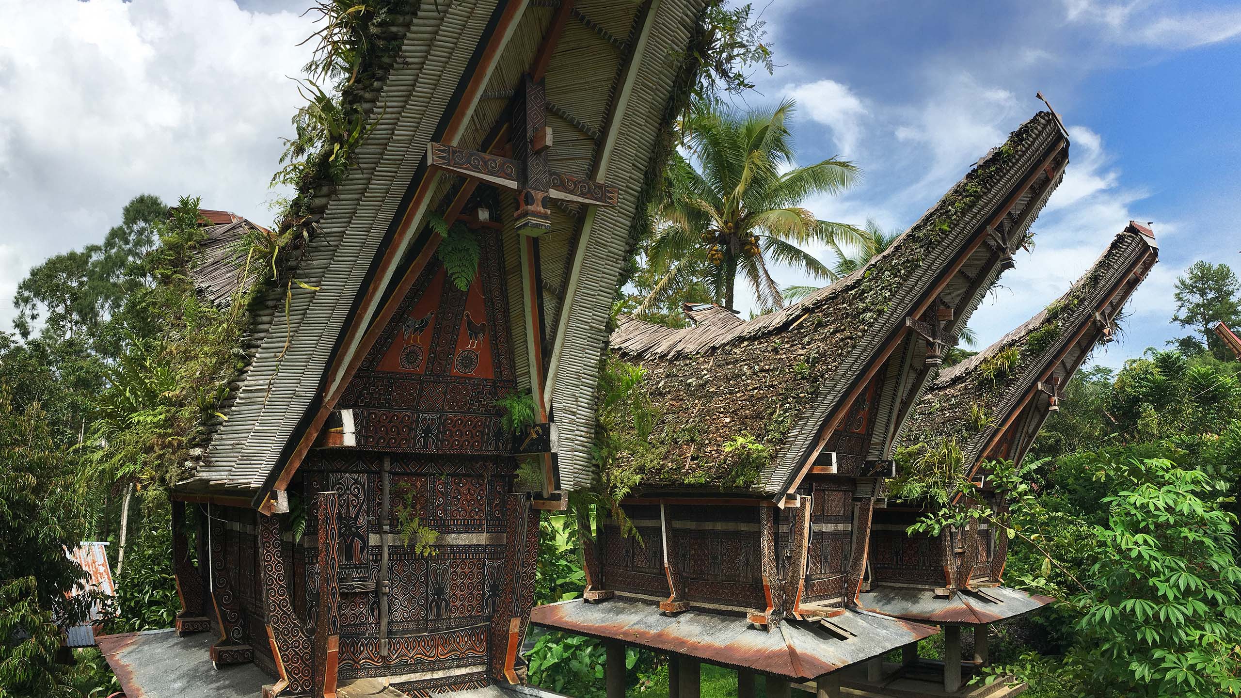 À la rencontre du peuple Toraja