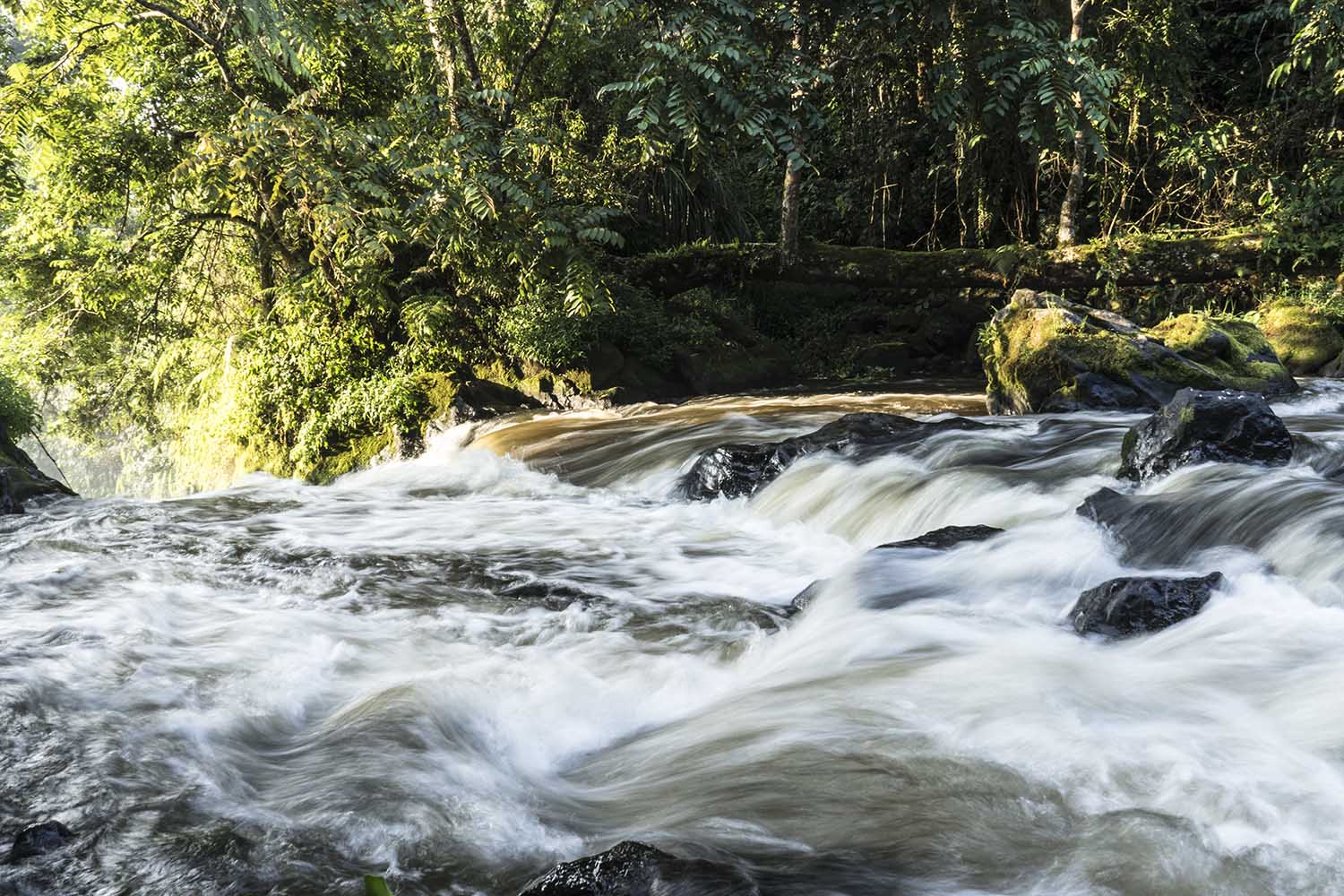 Rivière