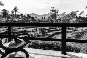 Eco lodge