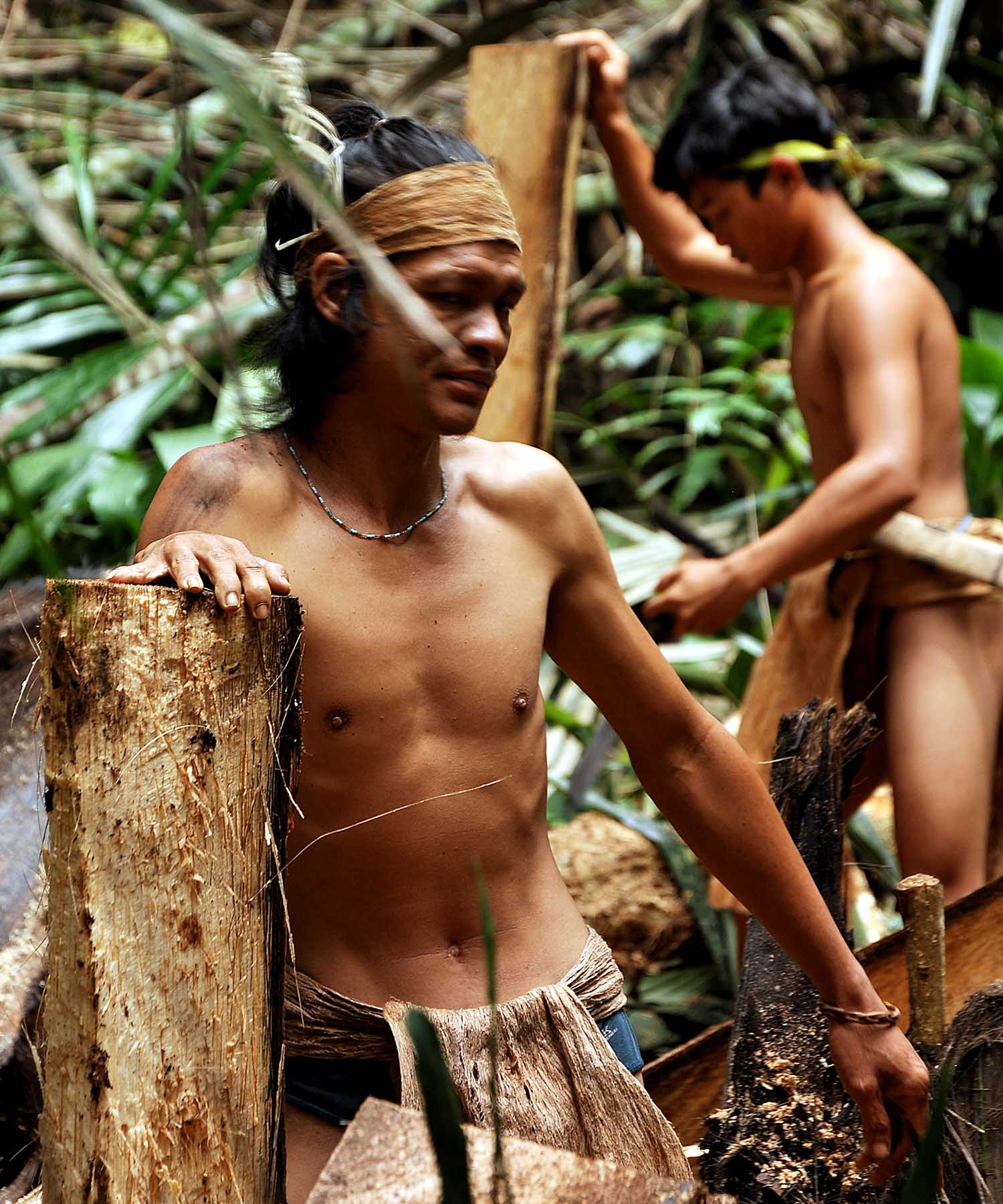 Immersion Dayak - *Là où la mémoire du monde est encore vivante*