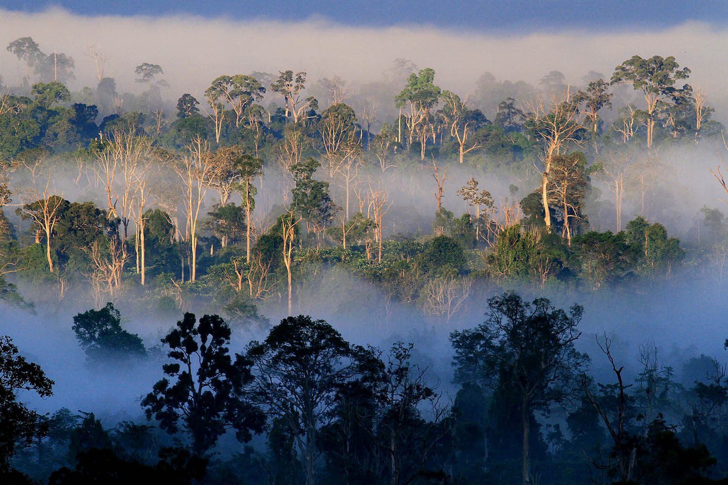 Voyage Aventure & Nature