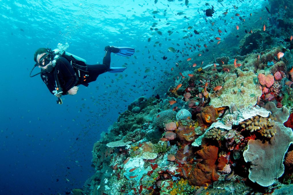 plongée raja ampat
