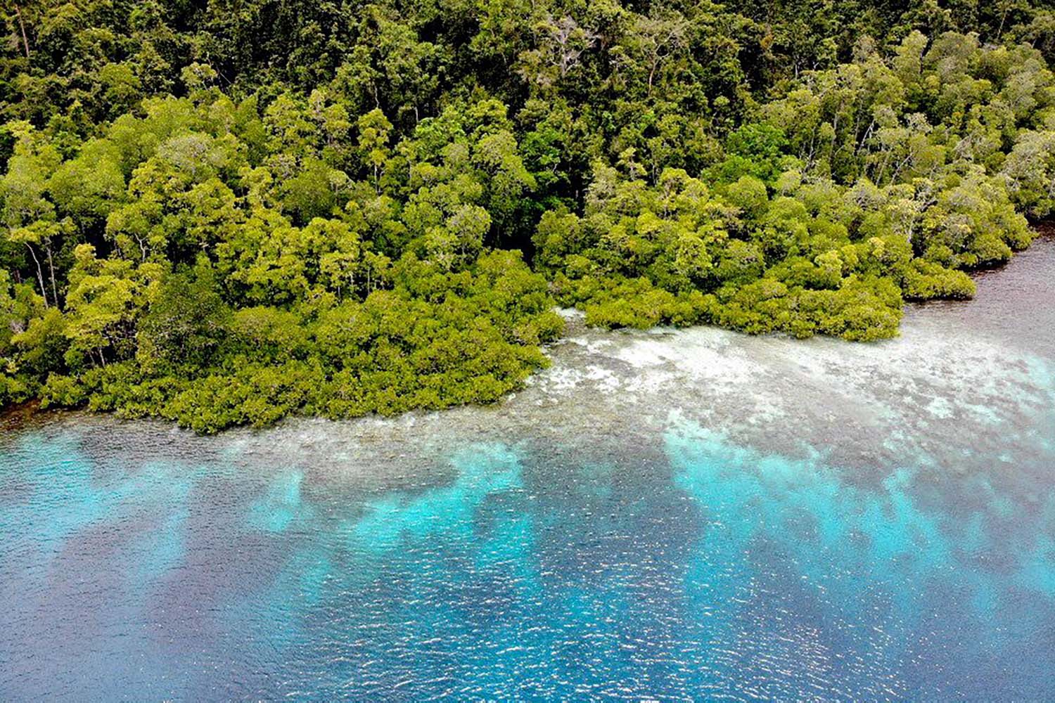 raja ampat