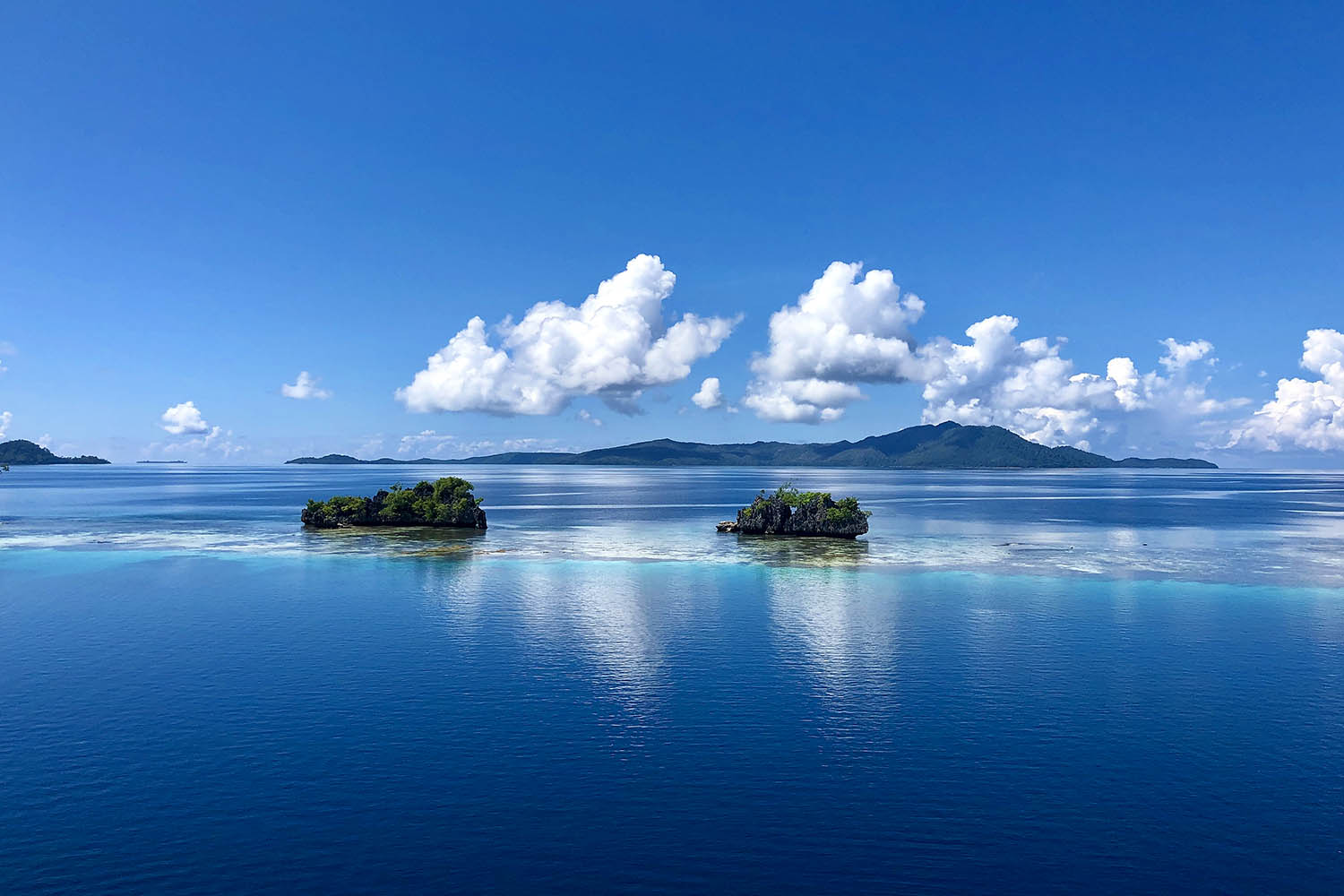 Raja Ampat – Croisière Plongée