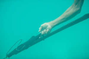 bajo chasseur