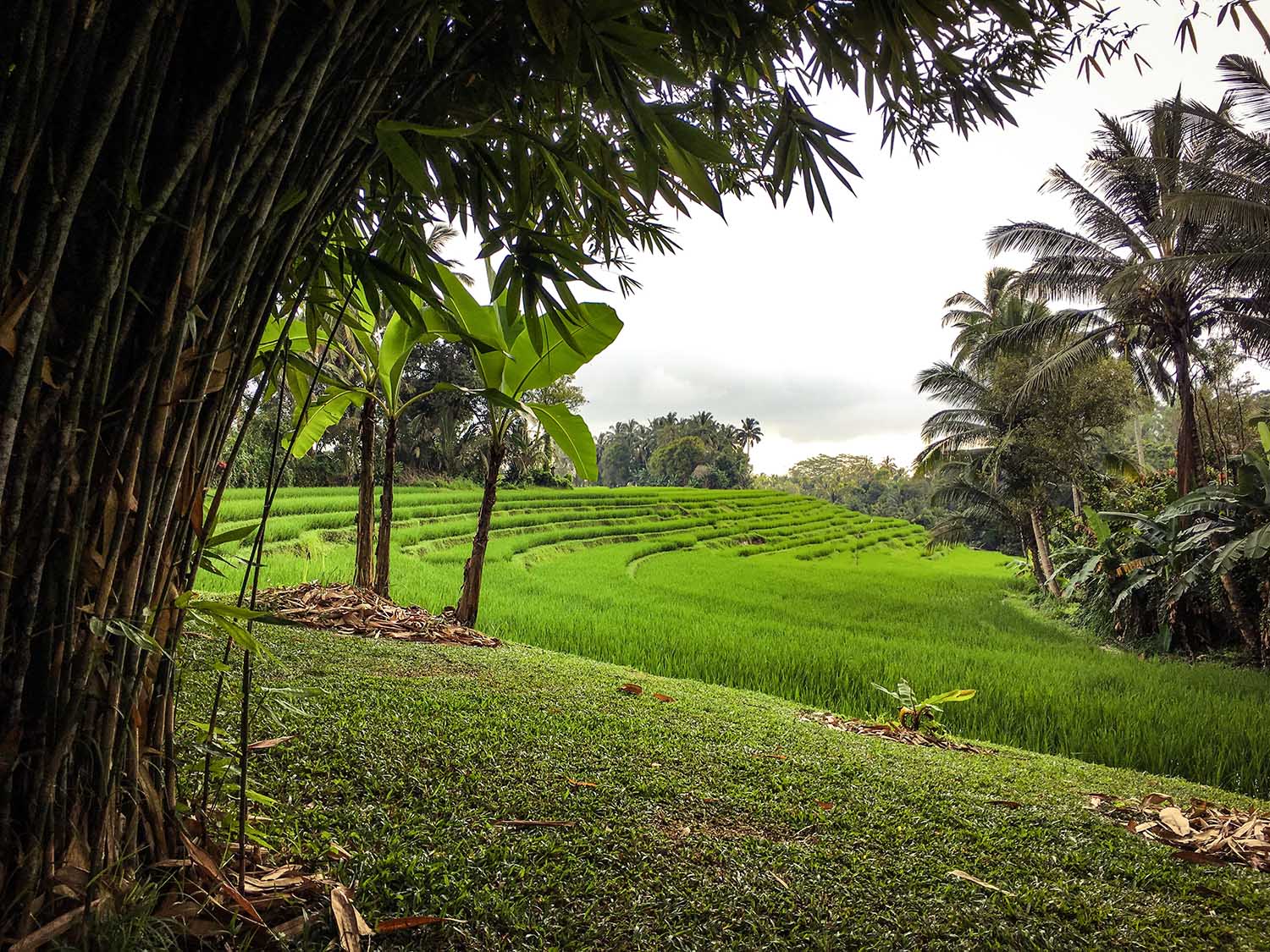 Bali – Sur-mesure