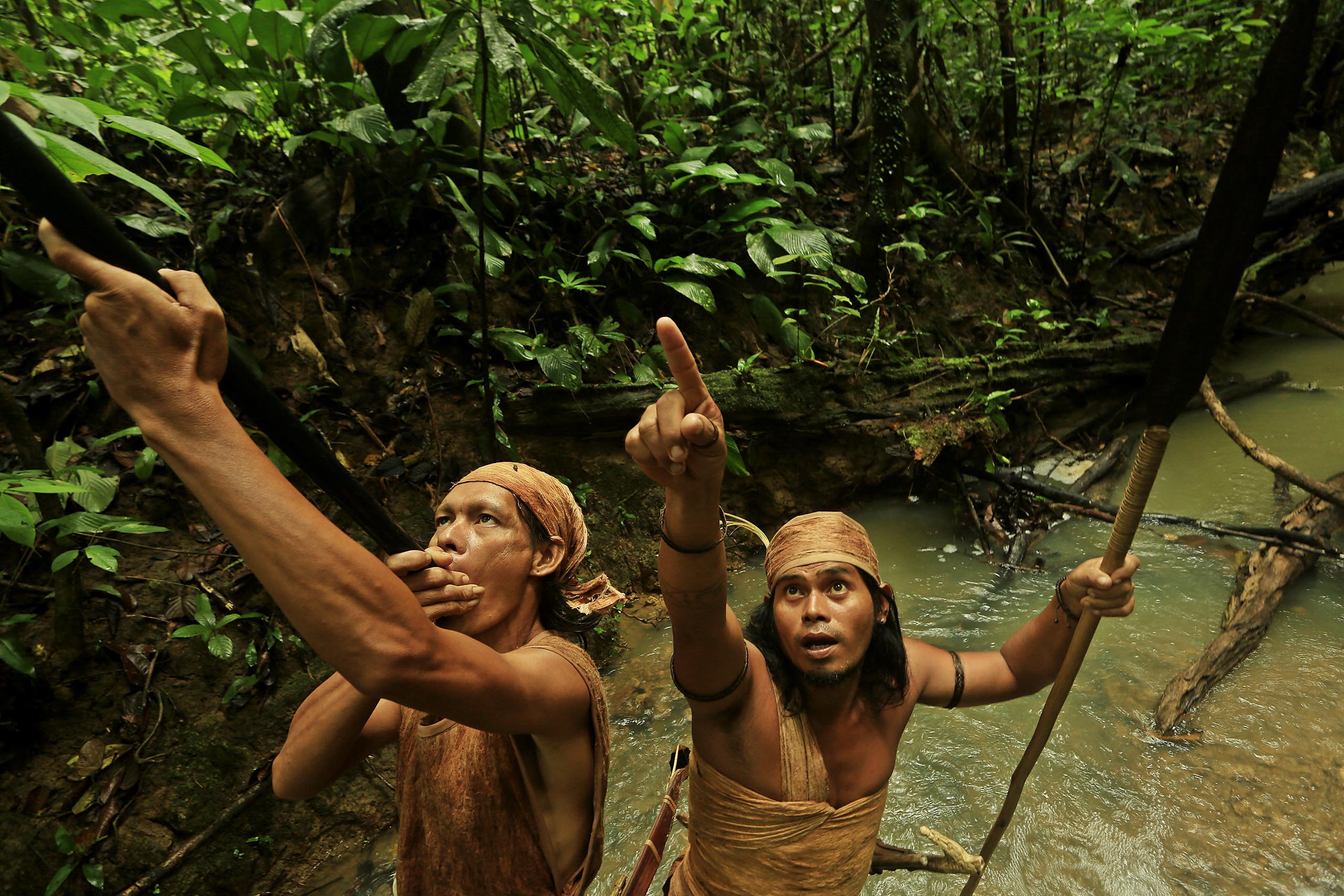 Les Dayaks de Kalimantan - *gardiens de la forêt*