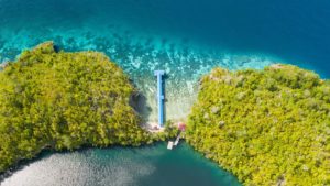 Togean