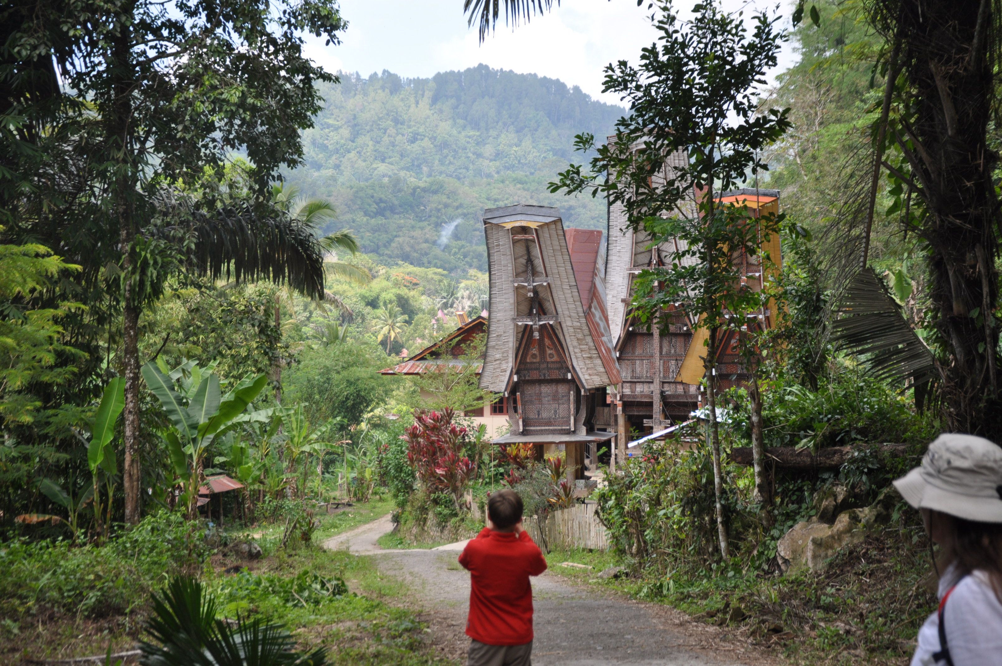 Voyageurs en randonnée en Sulawesi