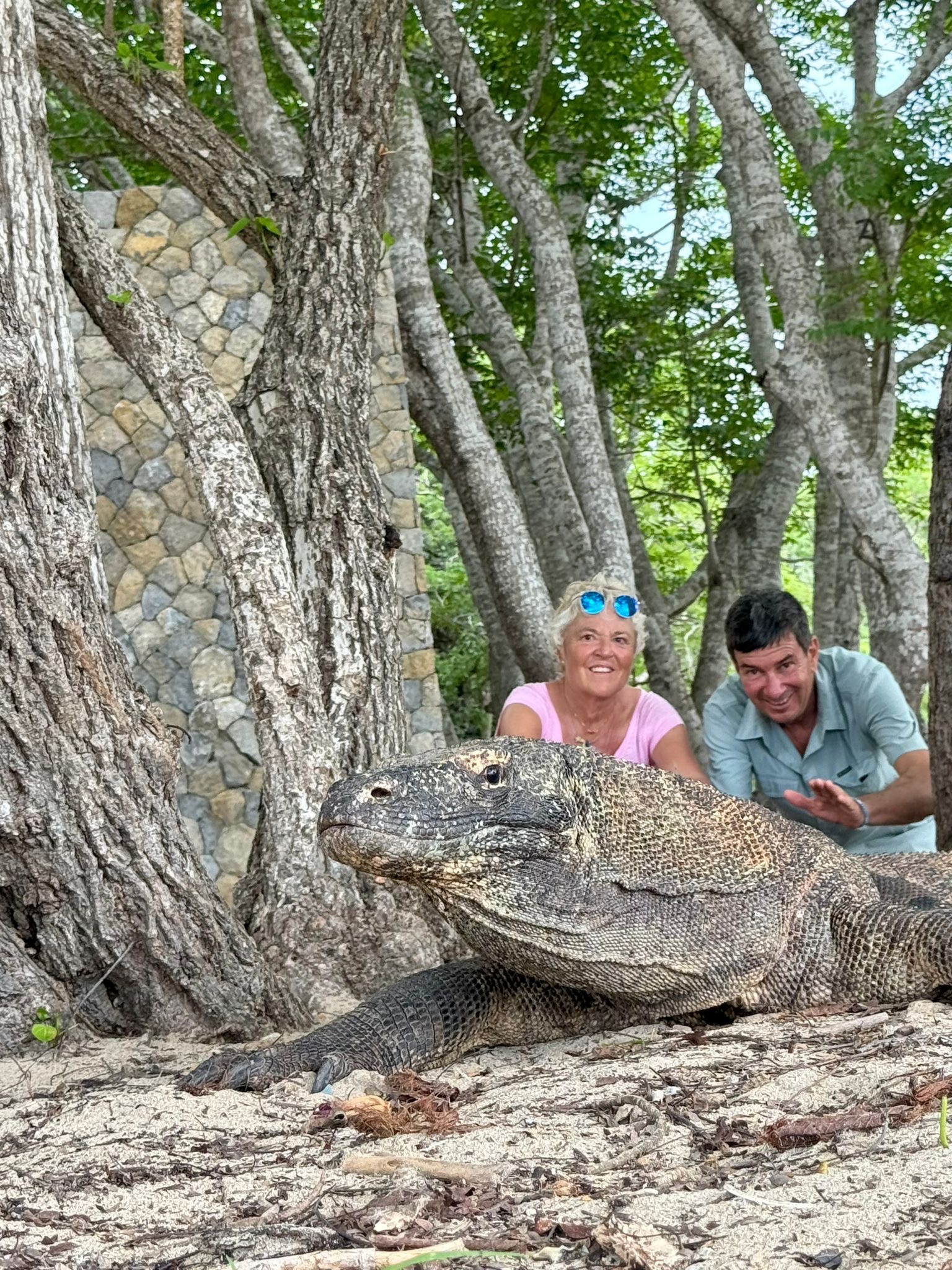 Voyageurs à Komodo