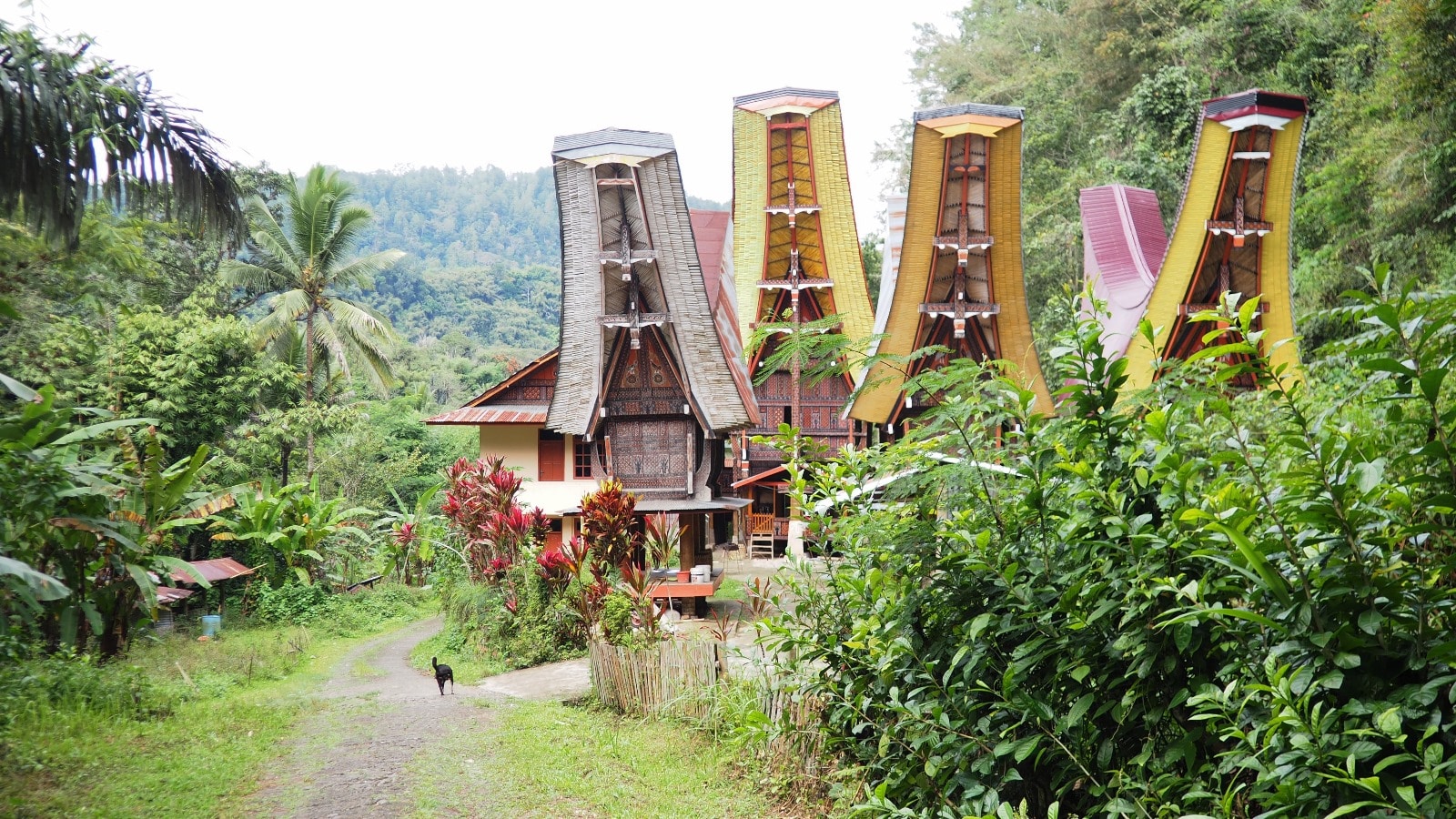 Village Toraja