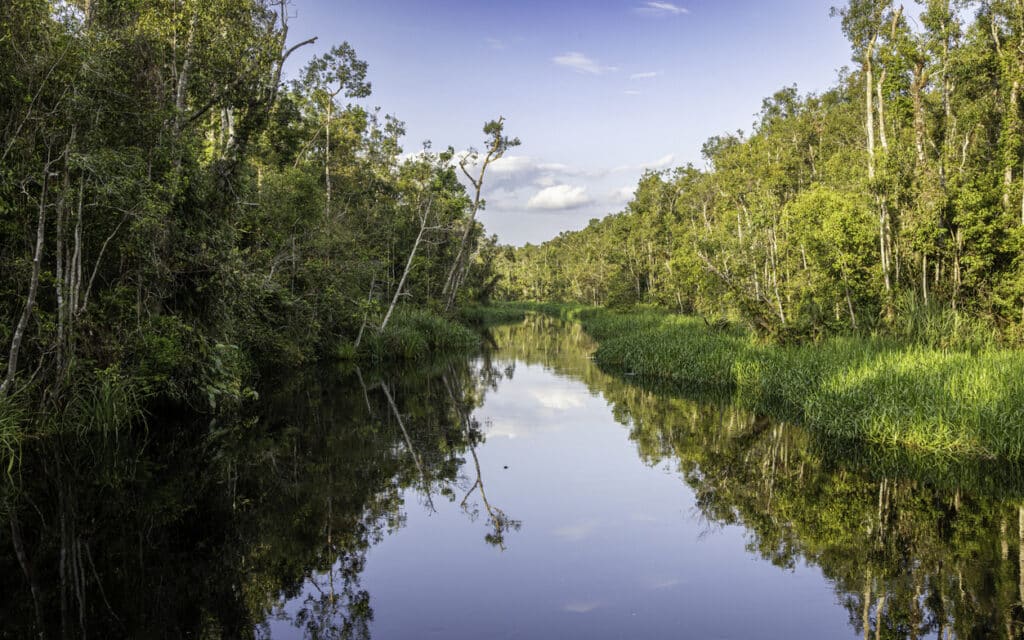 Rivière Sekonyer à Tanjung Puting National Park, Kalimantan, Borneo, Indonesie