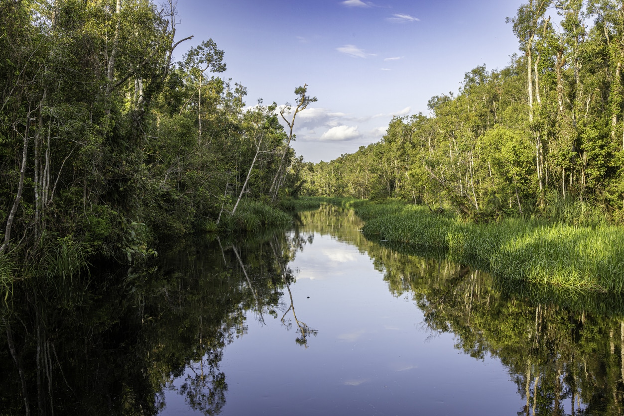 Rivière Sekonyer à Tanjung Puting National Park, Kalimantan, Borneo, Indonesie